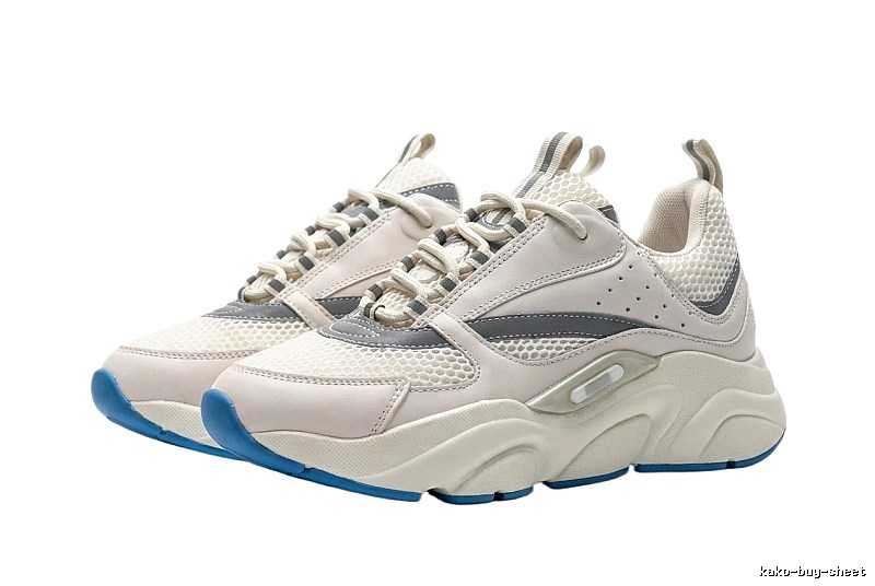 Dior Dad Shoes in Gray, White and Blue Color Scheme