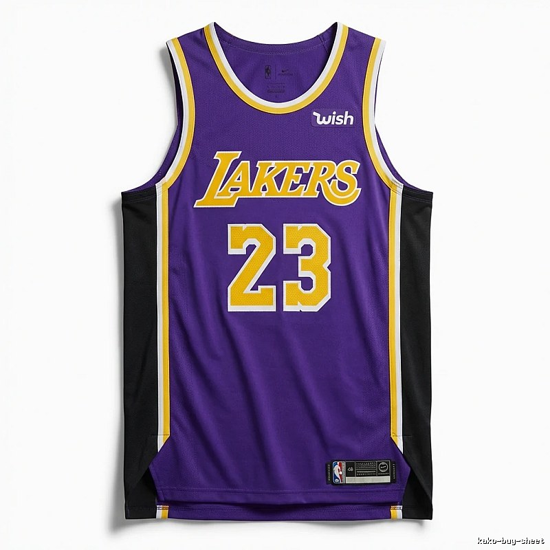 LBJ Lakers retro purple jersey