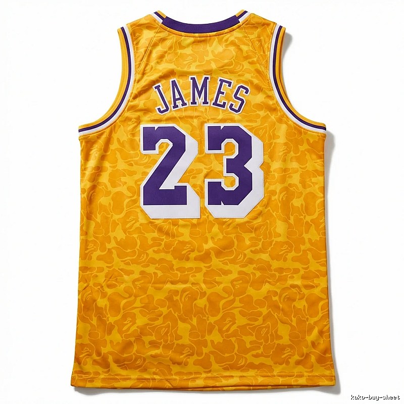 LBJ No. 23 camouflage-style jersey